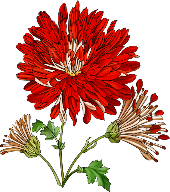 1c5847c221b0239ede5c19ca9e303a1e.png