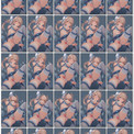 Ayanami-mp4-thumbs