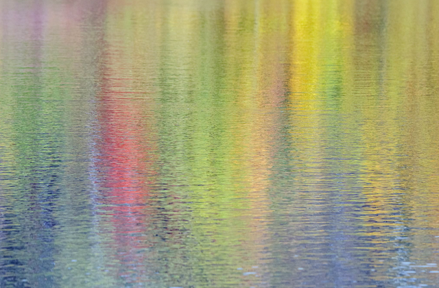 Screenshot 21