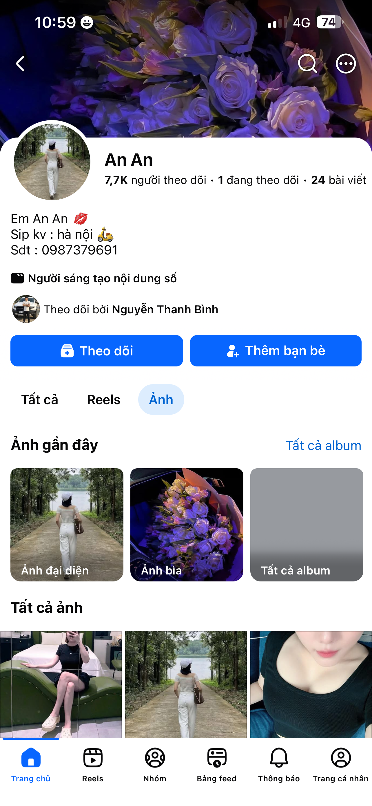 ibb.co