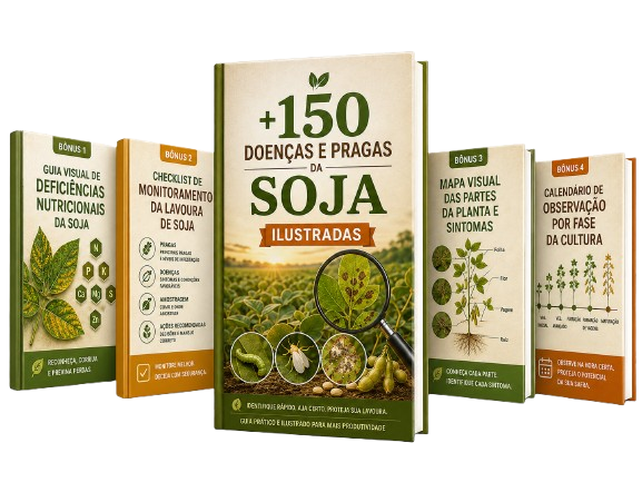 Material Ilustrado + 4 Bônus