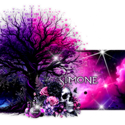 Simone 95ºBanner