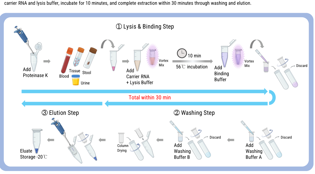 Patho Gene-spin HS Extraction Workflow