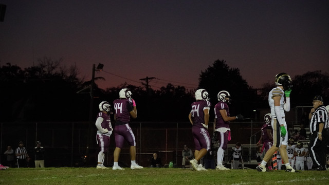 DSC09214.jpg