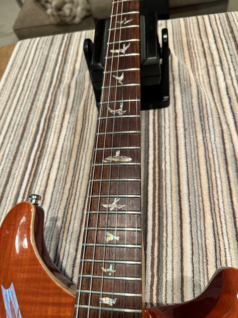 NGD: 1997 CE22 Stoptail with Birds | Official PRS Guitars Forum