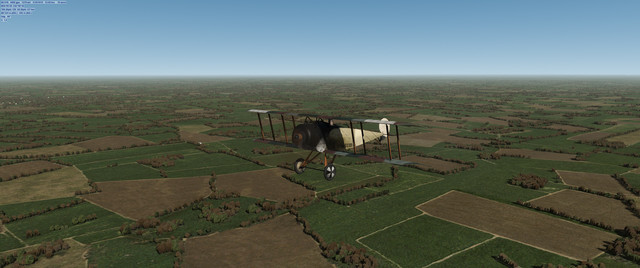 F DII 8.jpg