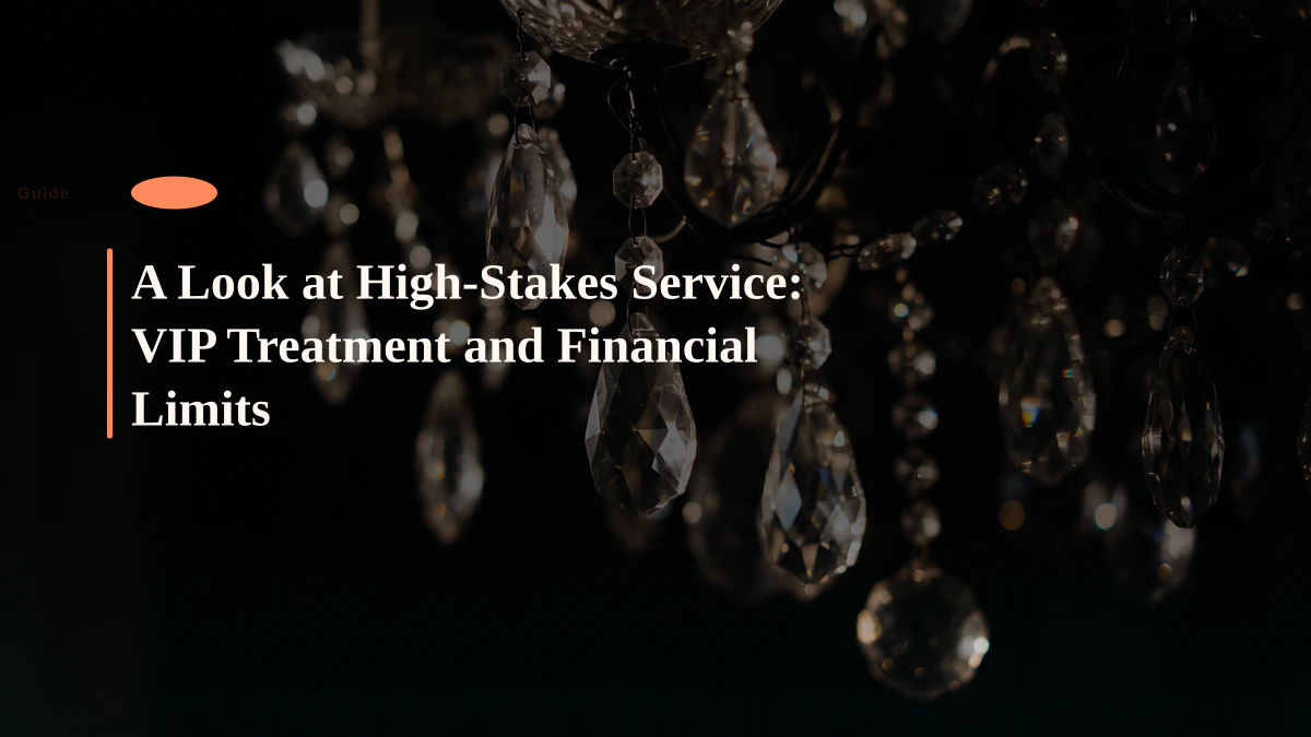 A Look at High-Stakes Service: VIP Treatment and Financial Limits