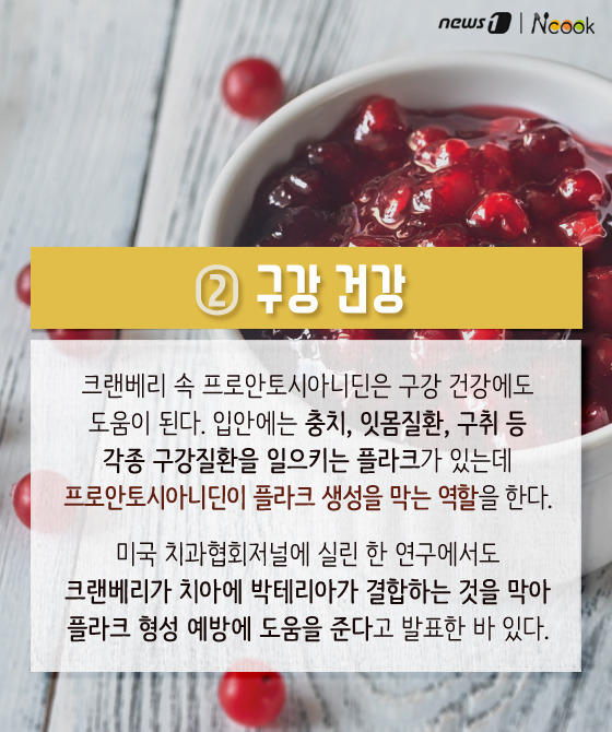 크랜베리 효능