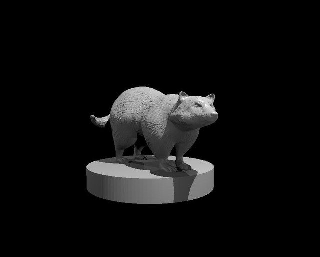 Badger.jpg