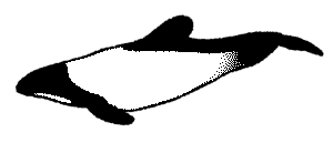 dithered-image-5.png