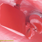 IMG-1498