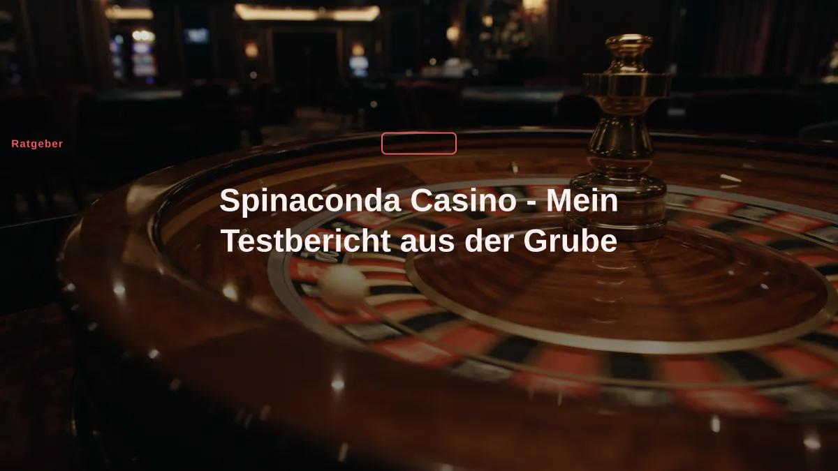 Spinaconda Casino - Mein Testbericht aus der Grube
