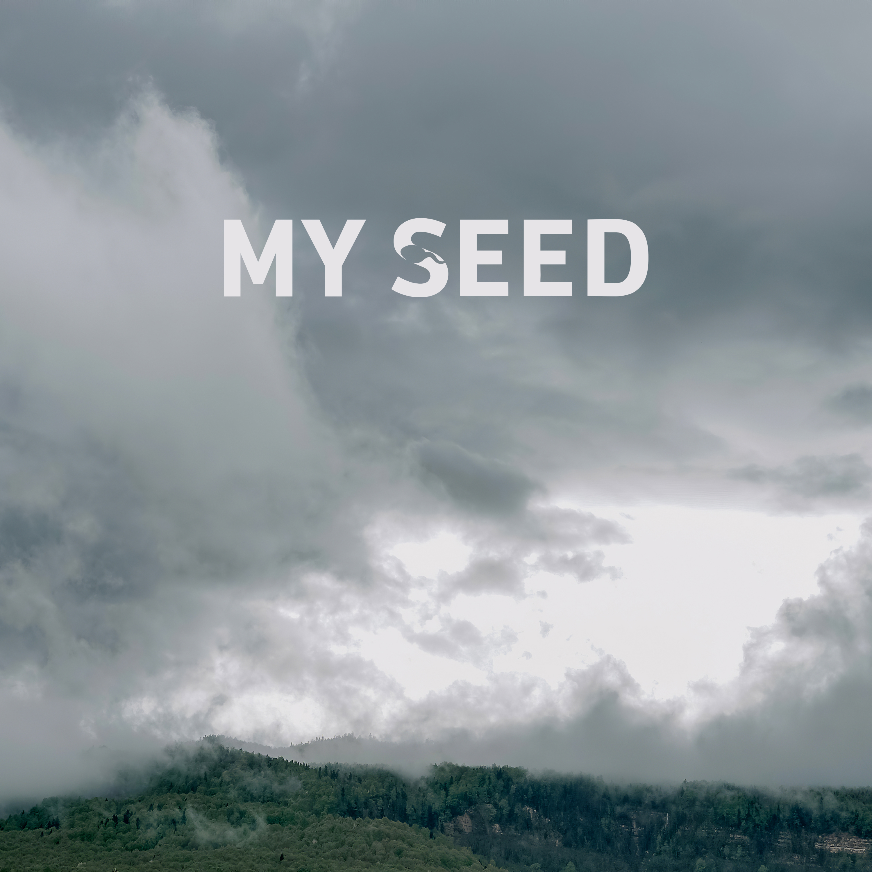 My Seed - Wheel [single] (2026)
