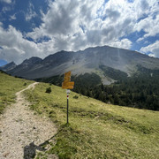 IMG-7438-2