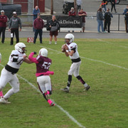 IMG-0236