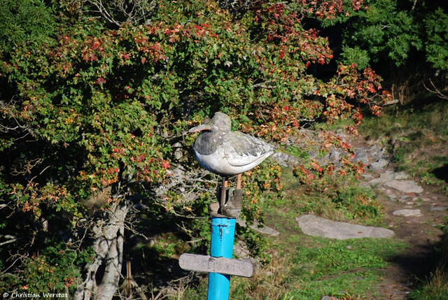 808