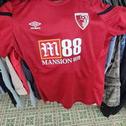 bournemouth-train-red1