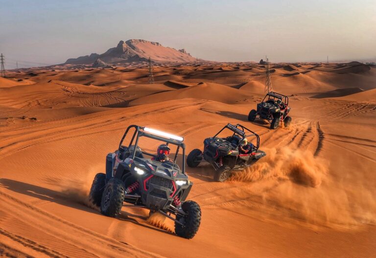 VIP Safari Double Seat Buggy