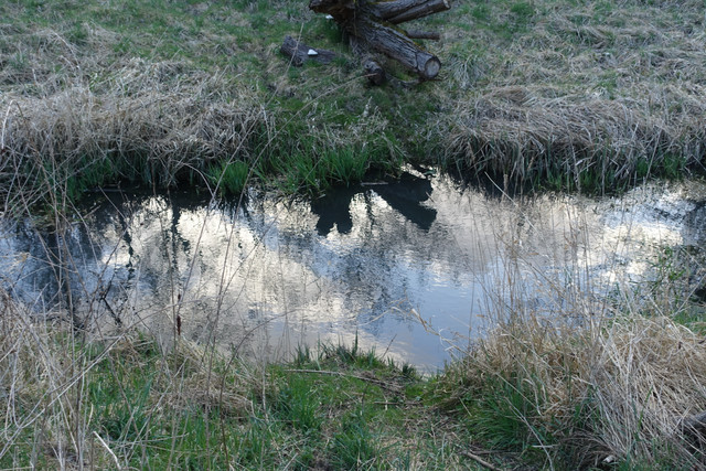 DSC07962.jpg