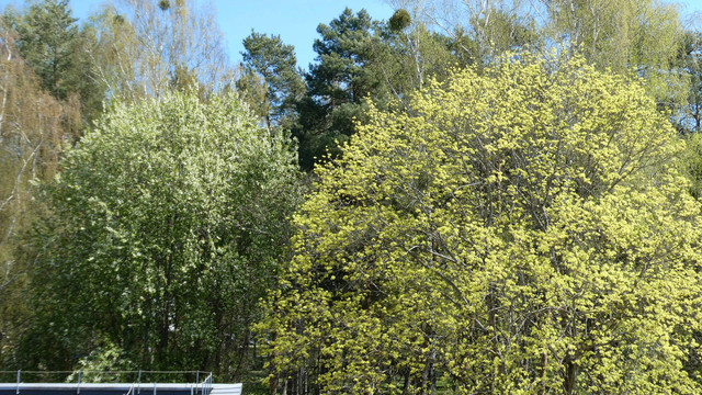 P1042571.jpg