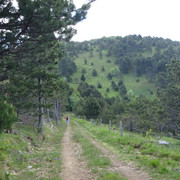 DSC04885