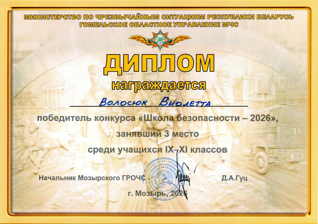 ДИПЛОМ Волосюк Виолетта 2026.jpg