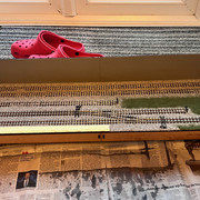 IMG 1552