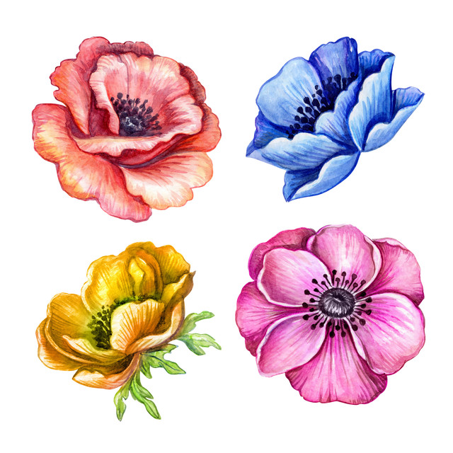 shutterstock-709537069.jpg