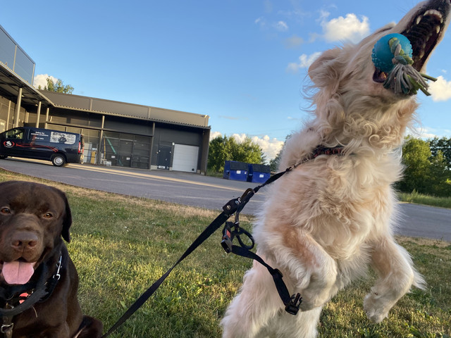 3-EE45-D21-E5-D6-4-C11-8552-96-B9-B84-FC