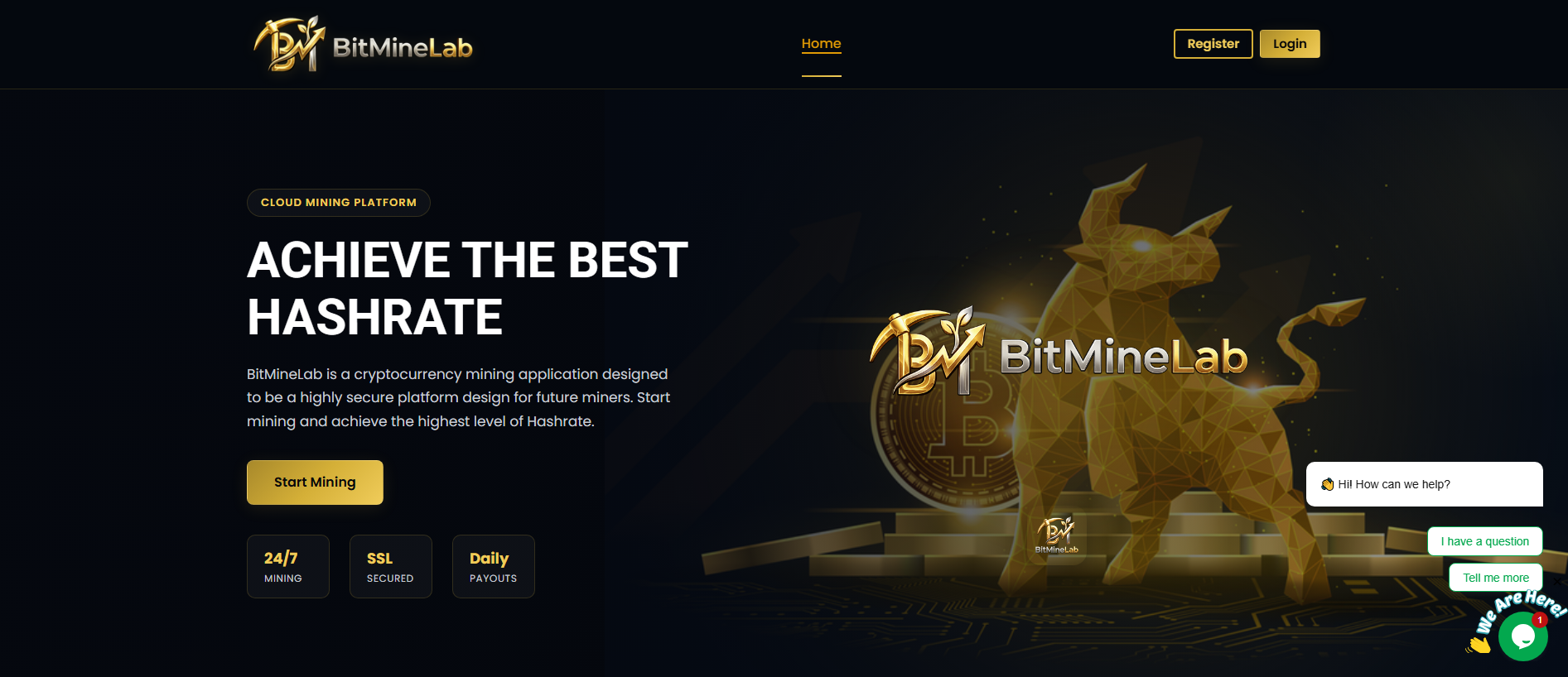 Screenshot of bitminelabpro.com