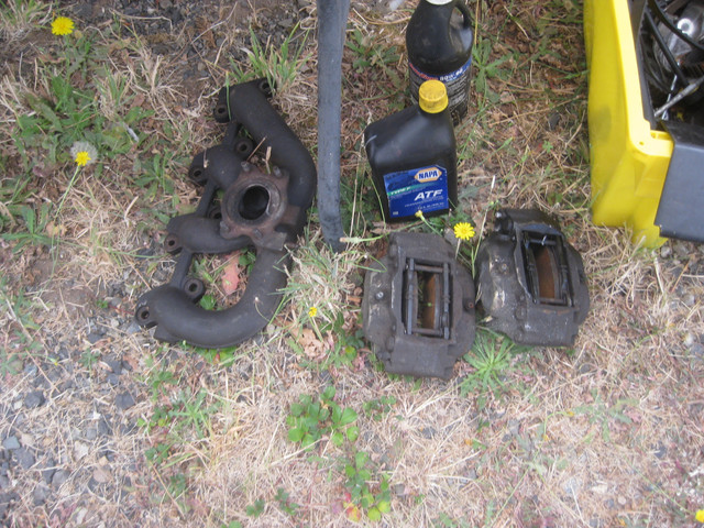 IMG 0514.jpg