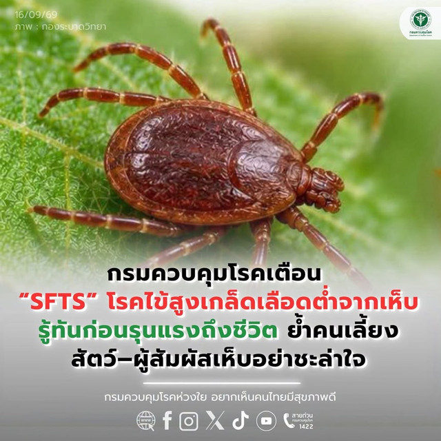 เตือน “SFTS” โรคไข้สูงเกล็ดเลือดต่ำจากเห็บ รู้ทันก่อนรุนแรงถึงชีวิต ย้ำคนเลี้ยงสัตว์–ผู้สัมผัสเห็บอย่าชะล่าใจ
