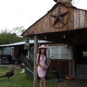 IMG 7385