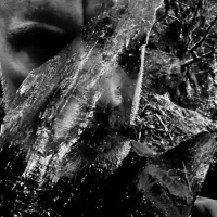 Taake – En Skog Av Nidstang (2026)