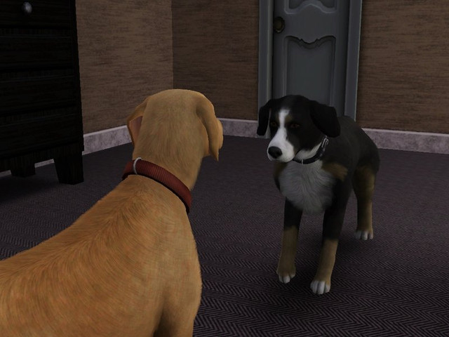 Screenshot-534.jpg
