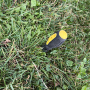 IMG-1560
