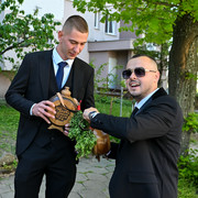 Pic 0340