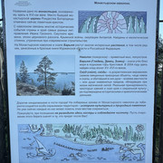IMG 5899