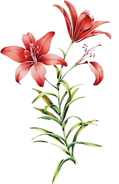 Layer 23 (7).png