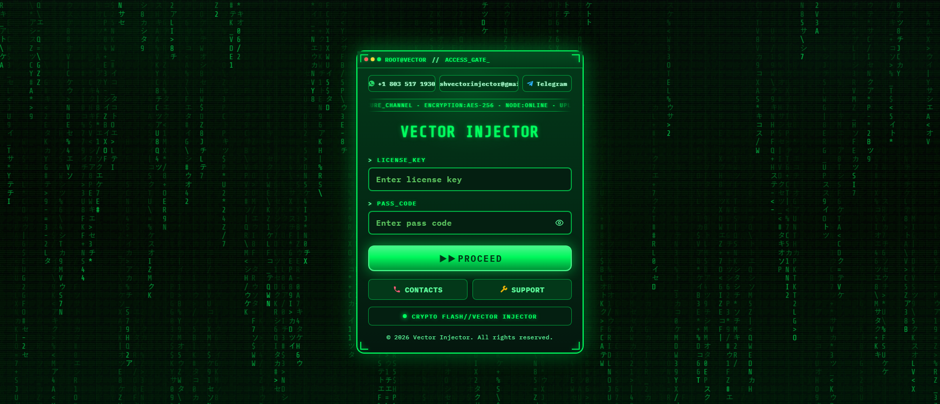 Forensic screenshot of vectorinjector.com showing the phishing page layout