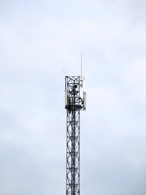 IMG-4487