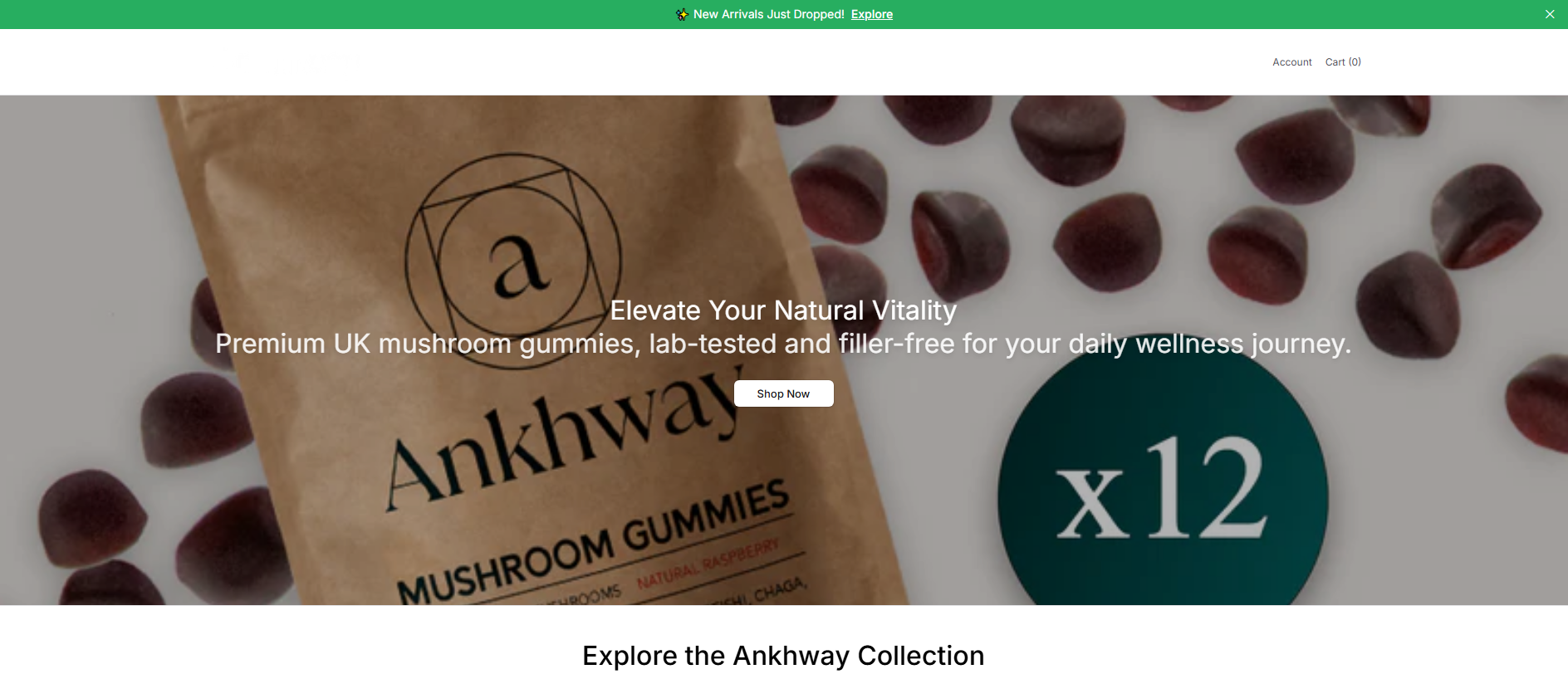 Stored capture of ankhwayshop.shop