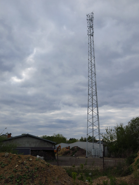 IMG-4730