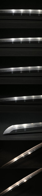 DSC3122