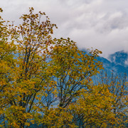 IPB Image