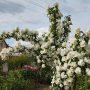 IMG-20240612-080745