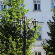 DSC05282-5