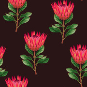 Seamless protea flowers