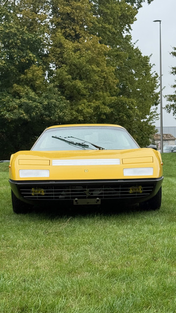 https://i.ibb.co/JWDhYFfn/Drive-City-24.jpg