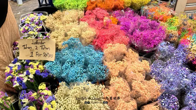 Kea Market9.webp